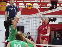 Επιστολή 127 βολεϊμπολιστριών: "Να ...