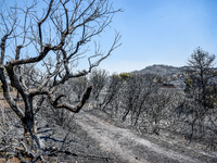 To ευχαριστήριο του  Δήμου Δυτικής Αχαΐα...