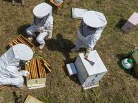 Πάτρα: Συνεχίζουν τις κινητοποιήσεις και...