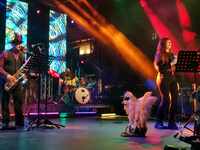 Πατρινό Καρναβάλι 2024: Ξεκίνησε η μεγάλ...