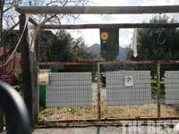 Στον Εισαγγελέα σήμερα ο 41χρονος φανοπο...