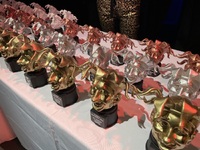 Πάτρα: Σάρωσε τα βραβεία του καρναβαλιού...