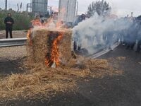 Ηλεία: Αγρότες έριξαν γάλα στον δρόμο κα...