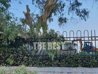 Πάτρα: Χαμός στο Δρέπανο- Έπεσαν δέντρα-...