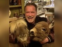 Ο Σβαρτσενέγκερ είναι σε καραντίνα ταΐζο...