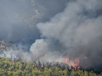 Πενήντα νέες πυρκαγιές σε όλη τη χώρα το...