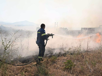 Φωτιά στην Κόρινθο στην περιοχή Άσσος: Κ...