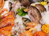 Περιφέρεια Δυτ. Ελλάδας: Κατασχέθηκαν πά...