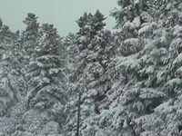 Κακοκαιρία «Μπάρμπαρα» – Εύβοια: Εγκλωβί...