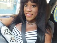 Πού στρέφονται οι έρευνες για την άγρια ...