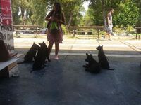 Πάτρα: Τι δώρο κάνει το Πανεπιστήμιο στον Δήμο;