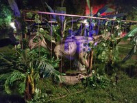 «Χαμόγελα» έφερε το 1ο Φεστιβάλ Πάρκου Κ...