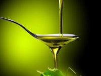 Η ξηρασία "χτύπησε" το ελαιόλα...