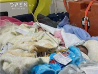 Φωτιά Αλεξανδρούπολη: Συγκλονιστικές εικ...