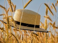 Ο Αύγουστος θα είναι ο χειρότερος μήνας ...