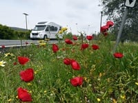 «Υπό διωγμόν» τα τροχόσπιτα- Το πρόστιμο...