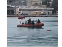 Η στιγμή που νεαρή λιμενικός σώζει σκυλά...