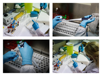 Πανεπιστήμιο Πατρών: Πώς λειτουργεί το ε...