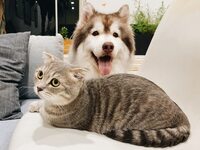 Επιτρέπεται οι καρκινοπαθείς να έχουν κα...