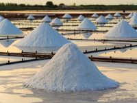 Μάθε τι σημαίνει η φράση «έμεινε στήλη ά...