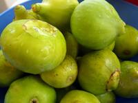 Σύκα: Οι ευεργετικές επιδράσεις στον οργανισμό