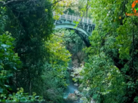 Περίπατος στο μονοπάτι του Οδοντωτού και...