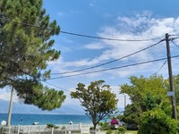 Δηλητηριασμένες γάτες στο Ακταίο, αγανακ...