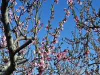 Καιρός: Αίθριος μέχρι τα μέσα Μαρτίου- «...