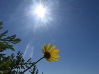 Καιρός-Πάτρα: Ανοιξιάτικος καιρός το Σαβ...