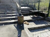 Ο ...εφιάλτης των σκουπιδιών προ των πυλ...