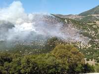 Σε εξέλιξη η φωτιά στο Καστέλι Καλαβρύτω...