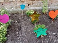 Πάτρα: Τα παιδιά στο Φωτεινό Αστέρι έφτι...