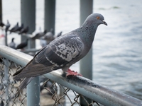 Απίστευτο: 2χρονη πέθανε από εξαιρετικά ...