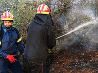 Νέα φωτιά στην Κεφαλονιά - Μάχη με τις φ...
