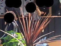 Πάτρα: Μετακινήθηκε περίπτερο εταιρείας,...