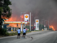Φωτιές: Οι εμπρηστές έχουν πρόσωπο. Ο ΔΕ...