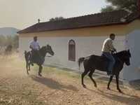 Οι καβαλάρηδες του Αϊ-Γιώργη στη Βόνιτσα