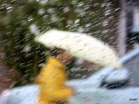 Δήμος Πατρέων: Συμβουλές ενόψει κακοκαιρίας