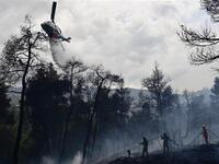 Φωτιά στο όρος Αιγάλεω: Στο μικροσκόπιο ...