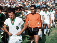 Μίμης Δομάζος: Η πορεία του Παναθηναϊκού...