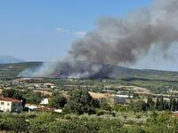 Φωτιά στο Ασπροχώρι Ωρωπού: Στο μέτωπο ε...