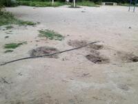 Νίκος Οικονομόπουλος: Το Σκαγιοπούλειο α...