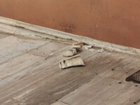 Η κακοκαιρία «Μπάλλος» χτύπησε και τη Βο...