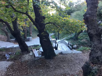 Πάτρα: Σαββατοκύριακο γεμάτο εκδηλώσεις ...