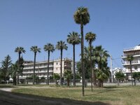 Έγινε κλάδεμα & καθάρισμα των χόρτων...