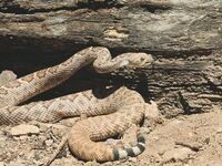 Πάνω από 63.000 άνθρωποι πεθαίνουν κάθε ...