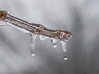 Ο Πατρινός Αποστόλης Καραγιάννης μιλάει ...