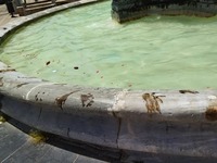 Πάτρα: Σε άθλια κατάσταση τα σιντριβάνια...