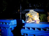 Πάτρα: Τι γίνεται τελικά με την ανακύκλω...