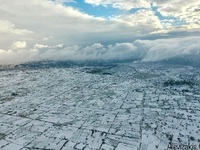 φωτο από cretapost.gr